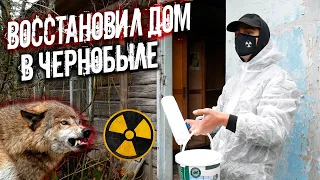 Ремонт заброшенного дома в Чернобыле. Волки на пороге. Что будет если жить в Зоне Отчуждения?