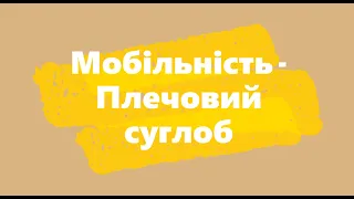 Мобільність плечового суглобу згинання №6