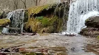 Megújulás  🌸 vezetett meditáció 15 percben