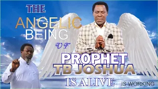 THE ANGELIC BEING OF PROPHET TB JOSHUA IS WORKING || PROPHET ISHIYAHOO