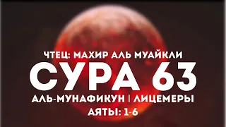 Чтец: Махир аль Муайкли Сура: 63 Аяты: 1-6