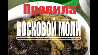 Правила восковой моли. ПЖЛВМ