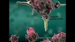 فيديو توضيحي يوضحلنا الفرق بين Antigen وال Antibody و عملية Phagocytosis
