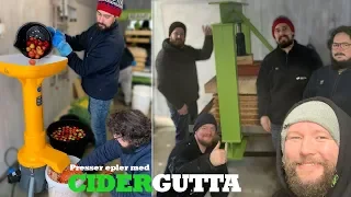 Lager eplecider med Cidergutta