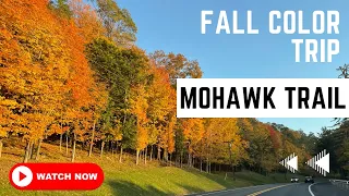 Best Fall Color Video - Mohawk Trail in Western Massachusetts I Bridge Of Flower |TravelFreak Videos