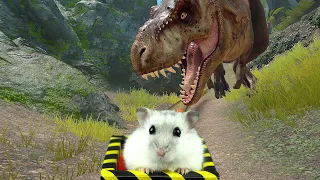 Hamster in Forest with Dinosaurs on Roller Coaster + Bonus Maze