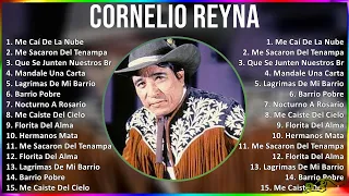 Cornelio Reyna 2024 MIX Grandes Exitos - Me Caí De La Nube, Me Sacaron Del Tenampa, Que Se Junte...