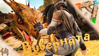 Растим виверн #14 🔥 Выжженные Земли - ARK Survival Evolved Scorched Earth