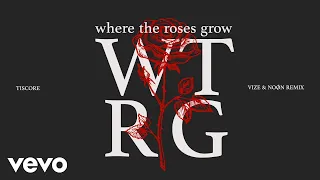 Tiscore - Where The Roses Grow (VIZE & NOØN Remix - Visualizer)