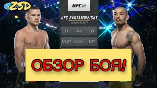 UFC 251: Петр Ян - Жозе Альдо Подробный Обзор На Бой! 2020