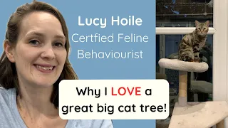 Your cute kitty will thank you for a great big cat tree! #cattree #catbehaviour #cat #cats #catvideo