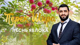 🍎 Перек Шира: Песнь Яблока (Рав Исраэль Якобов) Цикл: Песнь Творения. #27