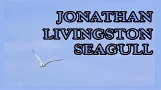 Jonathan Livingston Seagull  By Richard Bach (Audiobook)