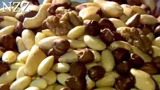 Nüsse: gesunder Genuss oder fette Sünde? - Dokumentation von NZZ Format (2008)