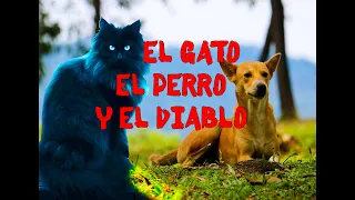 EL GATO EL PERRO Y EL DIABLO (relato)