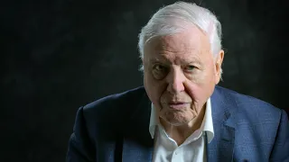 David Attenborough's Witness Statement (A Life on Our Planet)