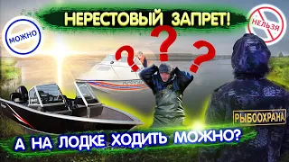 Нерестовый запрет. Можно ли ходить на лодке с мотором в запрет? Правила рыболовства