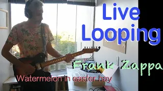 (Live Looping) - Frank Zappa "Watermelon in easter hay" - Martín Sebastian