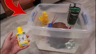 HOMEMADE BETTA FISH AQUARIUM!!!