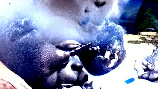 PolderGoonZ , Notorious B.I.G ,Wu Tang Clan - 3 Bricks (remix)