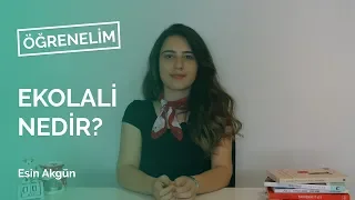 Ekolali Nedir?