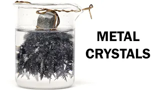 Growing Lead crystals