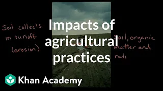 Impacts of Agricultural Practices| Land and water use| AP Environmental science| Khan Academy