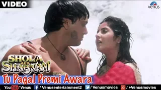 Tu Pagal Premi Awara Full Video Song | Shola Aur Shabnam | Govinda, Divya Bharati | Romantic Song