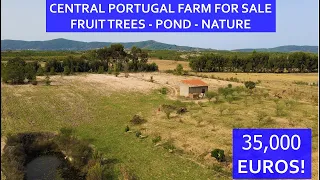 2 HECTARE MOUNTAIN FARM FOR SALE - CENTRAL PORTUGAL - POND - FRUIT TREES - NATURE