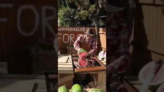 Zach King Mind Blowing Endless Watermelon 🍉 Magic Tricks 😱 #shorts #illusion #magic