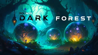 Dark Forest sounds | Epic Fantasy Audio journey trough Dark realms | D&D Ambience