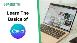 Learn The Basics of Canva | Canva | Canva Tutorial | How to Use Canva | Canva for Beginners