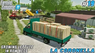 Sunflower Sowing, Lettuce Growing, Logging | La Coronella | Farming simulator 22 | Timelapse #19