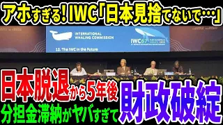 【解体寸前】卑劣な行為で日本を追い込んだIWC国際捕鯨委員会がついに崩壊寸前！日本に助け求めるもすでに…