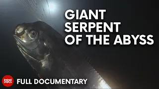 Meet the myth: the giant oarfish | FULL DOCUMENTARY