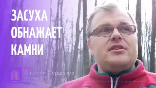 Алексей Сердюков / Засуха обнажает камни