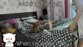 Making The Bed When You Have Cats - So CUTE 😍🥰💕