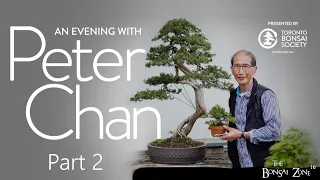 An Evening with Peter Chan, Part 2, The Bonsai Zone, July 2023