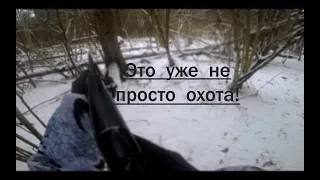 НЕ ОБЫЧНАЯ ОХОТА на волка с флажками. Взгляд изнутри