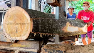 Sawing the acacia wood which has a hard and durable character for the long term