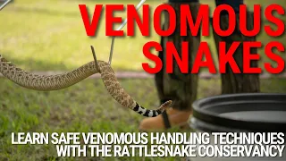 Inside The Rattlesnake Conservancy's Training for Handling Venomous Snakes