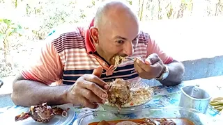 cordeiro comendo buchada