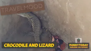 TravelMOOD CROCODILE AND LIZARD in Mombasa, Kenya