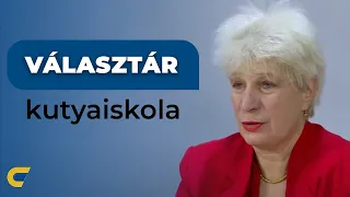 Helyes kutyatartás - 10 válasz Martonosiné Matkó Erikától | egyetem tv | Választár