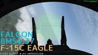 【FALCON BMS4.37】FALCON BMS4.37 F-15C EAGLE