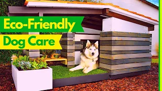 Eco Friendly Pet Care: A Guide to Sustainable and responsible choices 2023