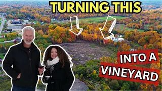 Transforming Raw Land into a Stunning Vineyard: Behind the Scenes