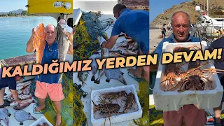 REİS YİNE GÜVERTEYİ DOLDURDU !!! | AĞ VE PARAGATTAN KAÇ PARA KAZANDIK ?