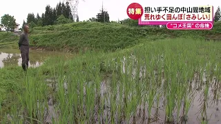 【特集】コメ農家が激減 「魚沼の農家は“絶滅危惧種”に…」 担い手不足で荒れゆく田んぼ 《新潟》