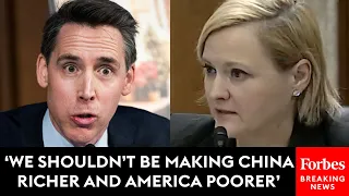 'Your Administration Shut It Down': Josh Hawley Grills Biden Official On Blocked Mineral Mine